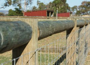 PERMAPole post and rail fencing with Equimesh